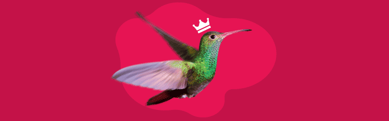 pp nouvelle espèce immobilière