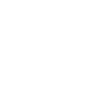 megaphone