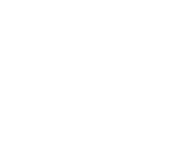 logo-pp-footer